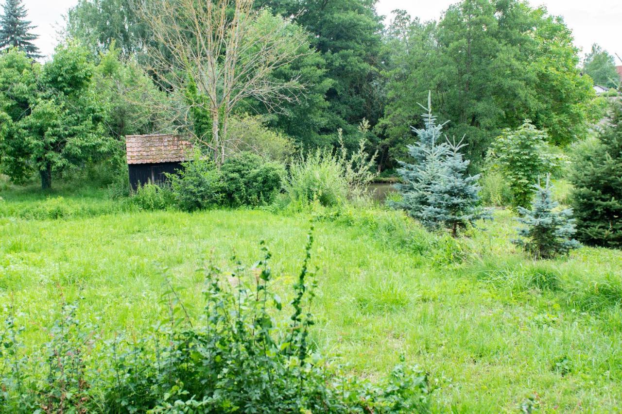Ferienwohnung Auf Ehemaligen Bauernhof In Der Naehe Von Bamberg Walsdorf  ภายนอก รูปภาพ
